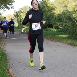 westspangenlauf-2015-114