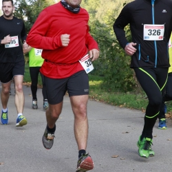 westspangenlauf-2015-131