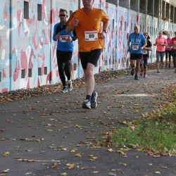 westspangenlauf-2015-302