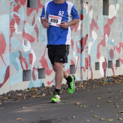 westspangenlauf-2015-360