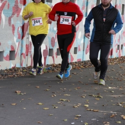 westspangenlauf-2015-389
