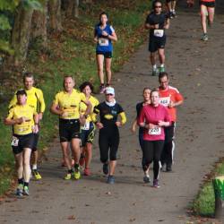 Bilder vom 26. Westspangenlauf 32