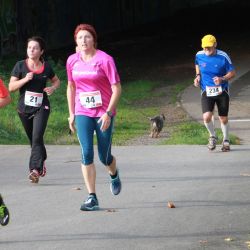 Bilder vom 26. Westspangenlauf 36