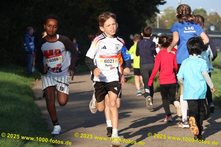 Fotos Hans-Martin Schweitzer (1.000 Fotos) 2345