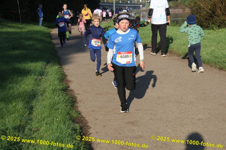 Fotos Hans-Martin Schweitzer (1.000 Fotos) 2347