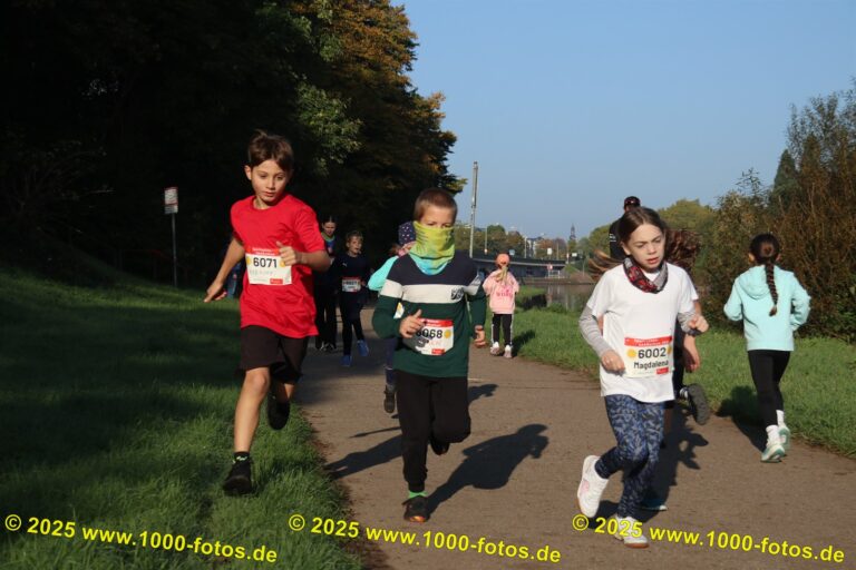 Fotos Hans-Martin Schweitzer (1.000 Fotos) 2333