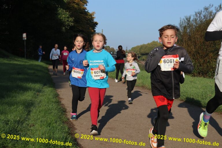 Fotos Hans-Martin Schweitzer (1.000 Fotos) 2331