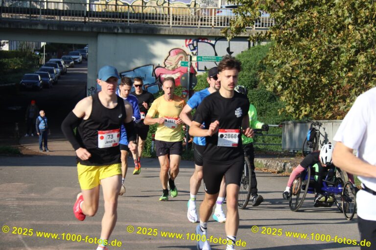 Fotos Hans-Martin Schweitzer (1.000 Fotos) 2313