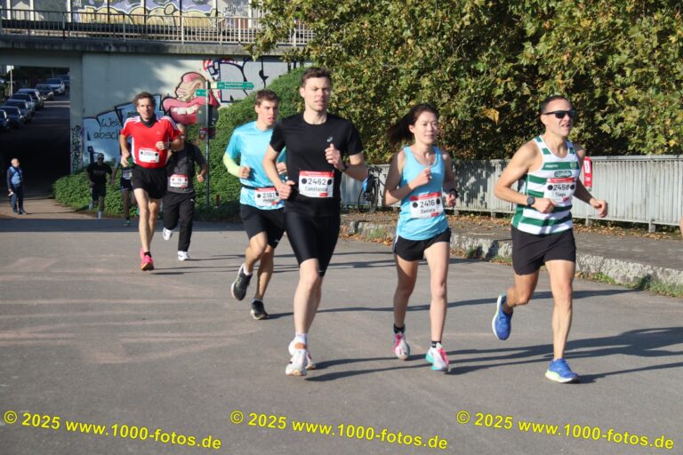 Fotos Hans-Martin Schweitzer (1.000 Fotos) 2312