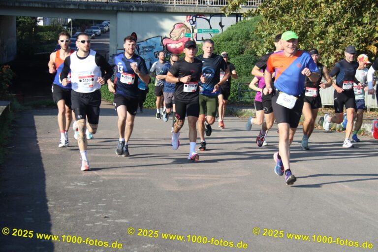 Fotos Hans-Martin Schweitzer (1.000 Fotos) 2308