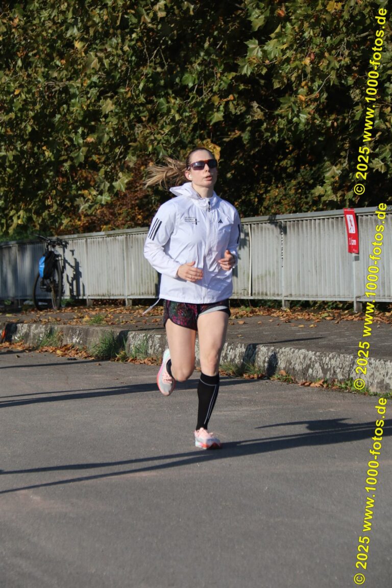 Fotos Hans-Martin Schweitzer (1.000 Fotos) 2301