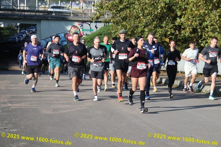 Fotos Hans-Martin Schweitzer (1.000 Fotos) 2269