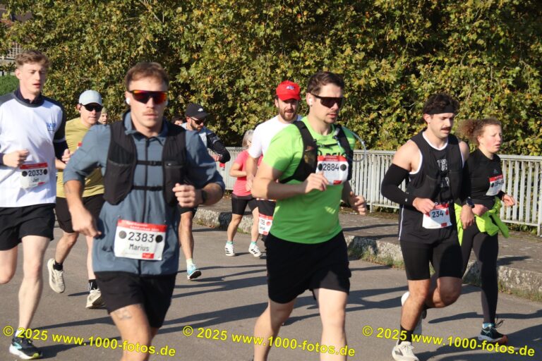 Fotos Hans-Martin Schweitzer (1.000 Fotos) 2254