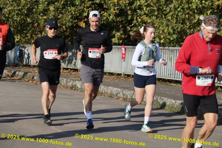 Fotos Hans-Martin Schweitzer (1.000 Fotos) 2230