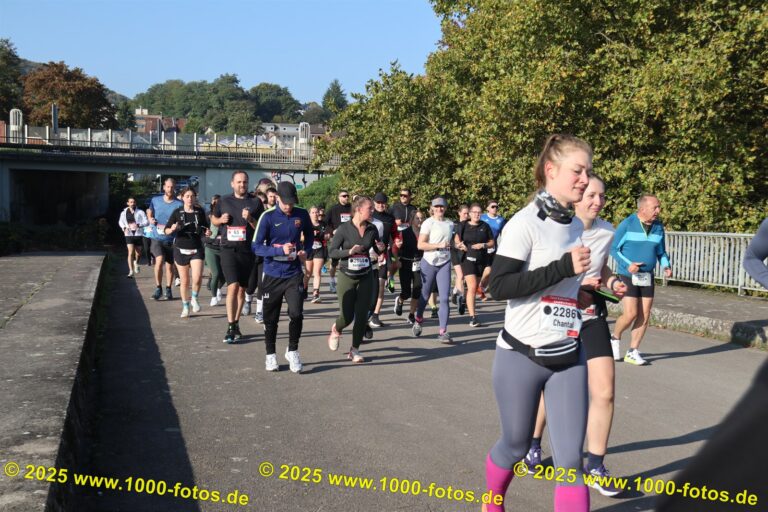 Fotos Hans-Martin Schweitzer (1.000 Fotos) 2181