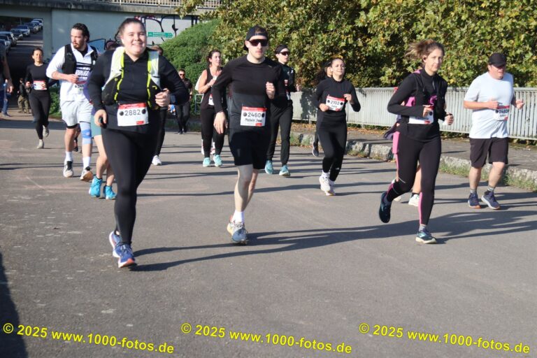 Fotos Hans-Martin Schweitzer (1.000 Fotos) 2167