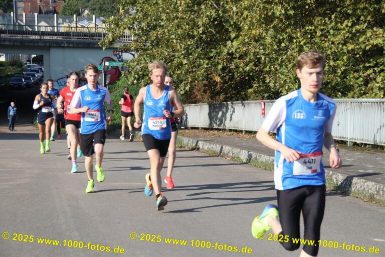 Fotos Hans-Martin Schweitzer (1.000 Fotos) 2139