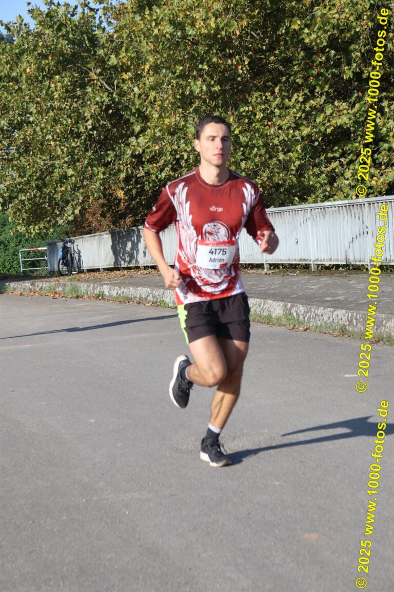 Fotos Hans-Martin Schweitzer (1.000 Fotos) 2131