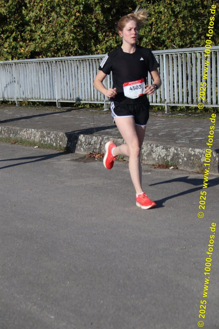 Fotos Hans-Martin Schweitzer (1.000 Fotos) 2107