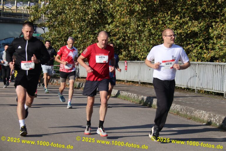 Fotos Hans-Martin Schweitzer (1.000 Fotos) 2100