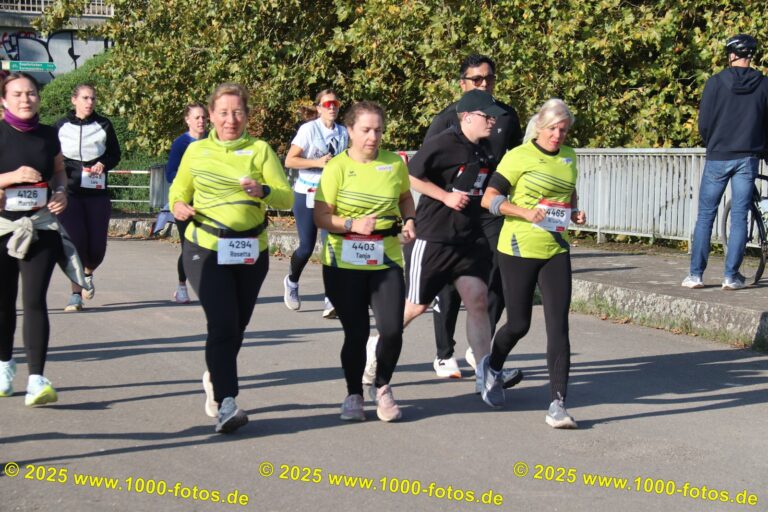 Fotos Hans-Martin Schweitzer (1.000 Fotos) 2031