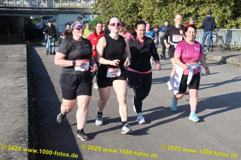 Fotos Hans-Martin Schweitzer (1.000 Fotos) 2024