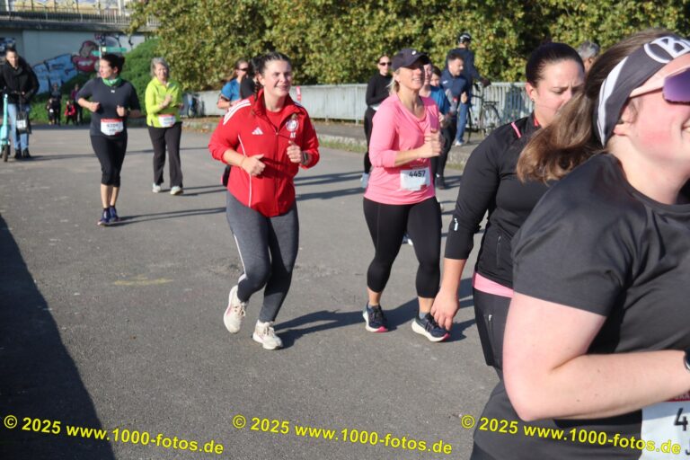 Fotos Hans-Martin Schweitzer (1.000 Fotos) 2023