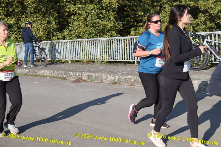 Fotos Hans-Martin Schweitzer (1.000 Fotos) 2021