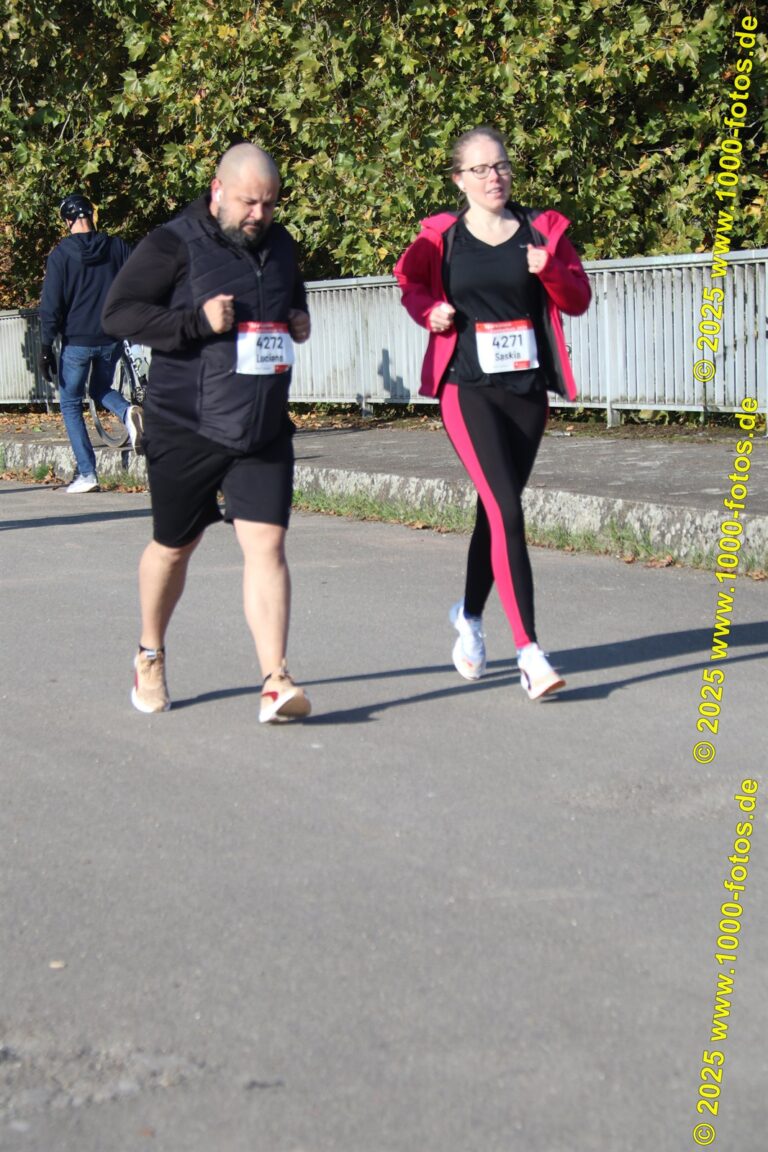 Fotos Hans-Martin Schweitzer (1.000 Fotos) 2019