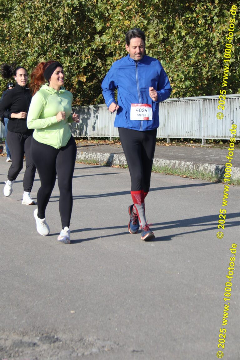 Fotos Hans-Martin Schweitzer (1.000 Fotos) 2018