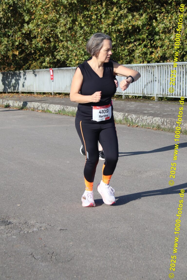 Fotos Hans-Martin Schweitzer (1.000 Fotos) 2017