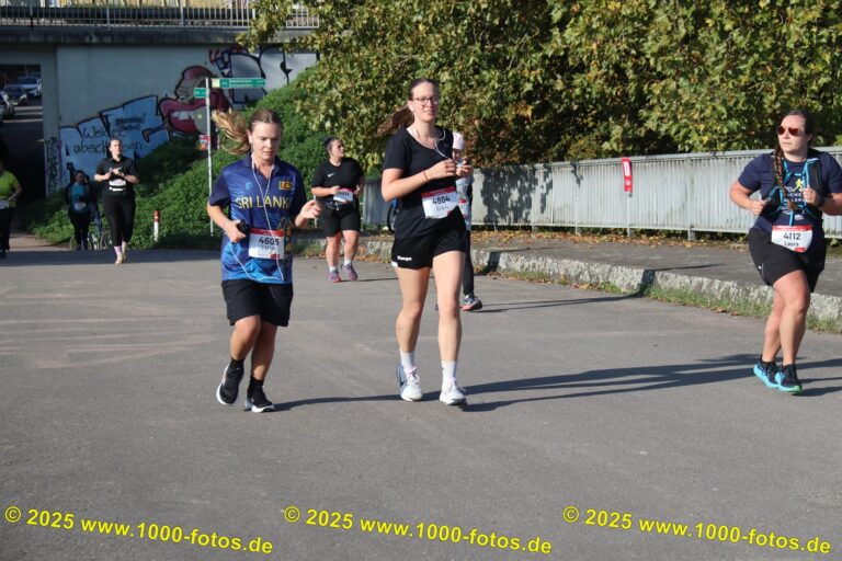 Fotos Hans-Martin Schweitzer (1.000 Fotos) 2016