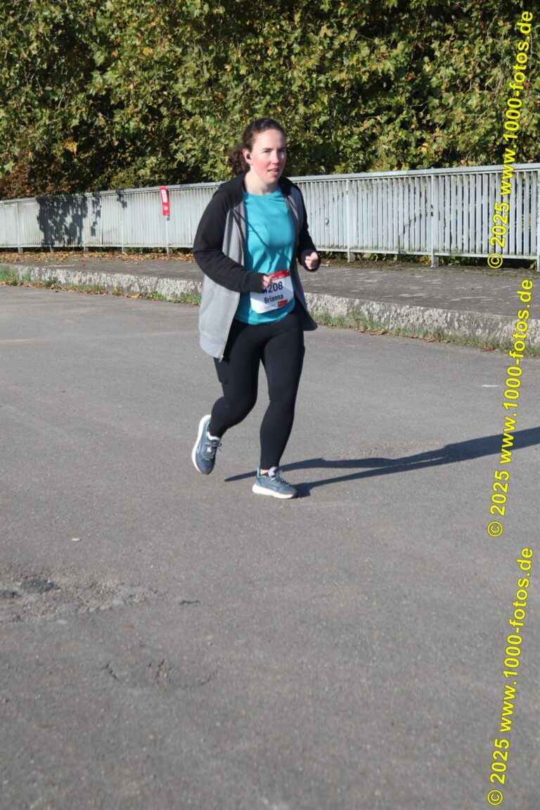 Fotos Hans-Martin Schweitzer (1.000 Fotos) 2013