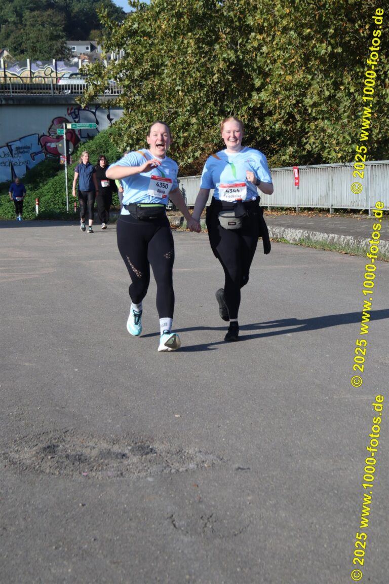 Fotos Hans-Martin Schweitzer (1.000 Fotos) 2012