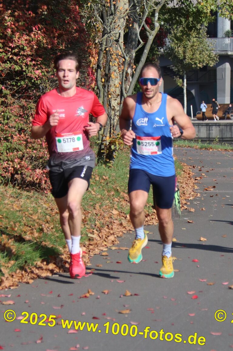 Fotos Hans-Martin Schweitzer (1.000 Fotos) 2008