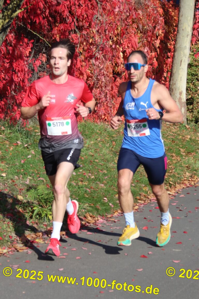 Fotos Hans-Martin Schweitzer (1.000 Fotos) 2007