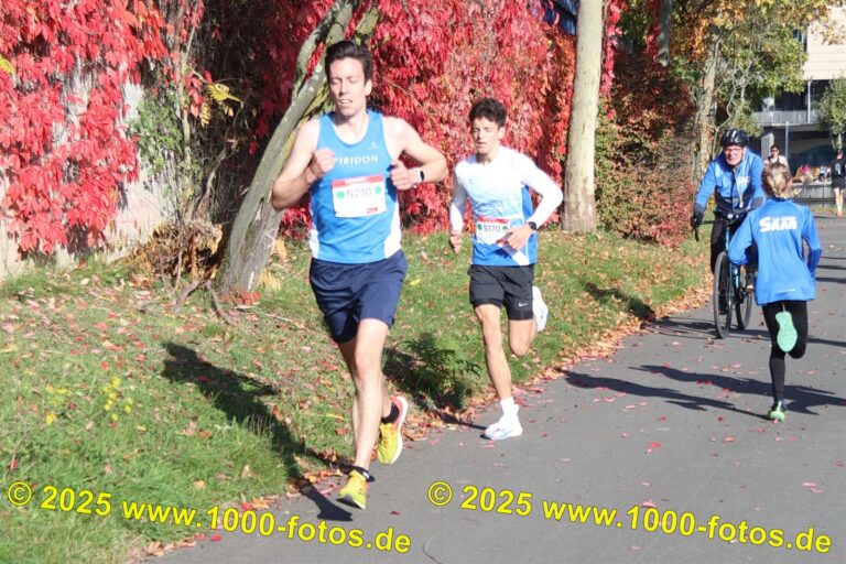 Fotos Hans-Martin Schweitzer (1.000 Fotos) 2002