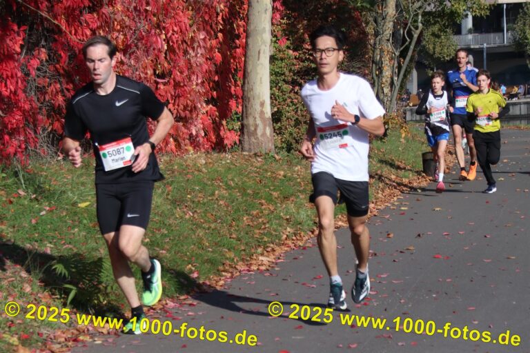 Fotos Hans-Martin Schweitzer (1.000 Fotos) 2000