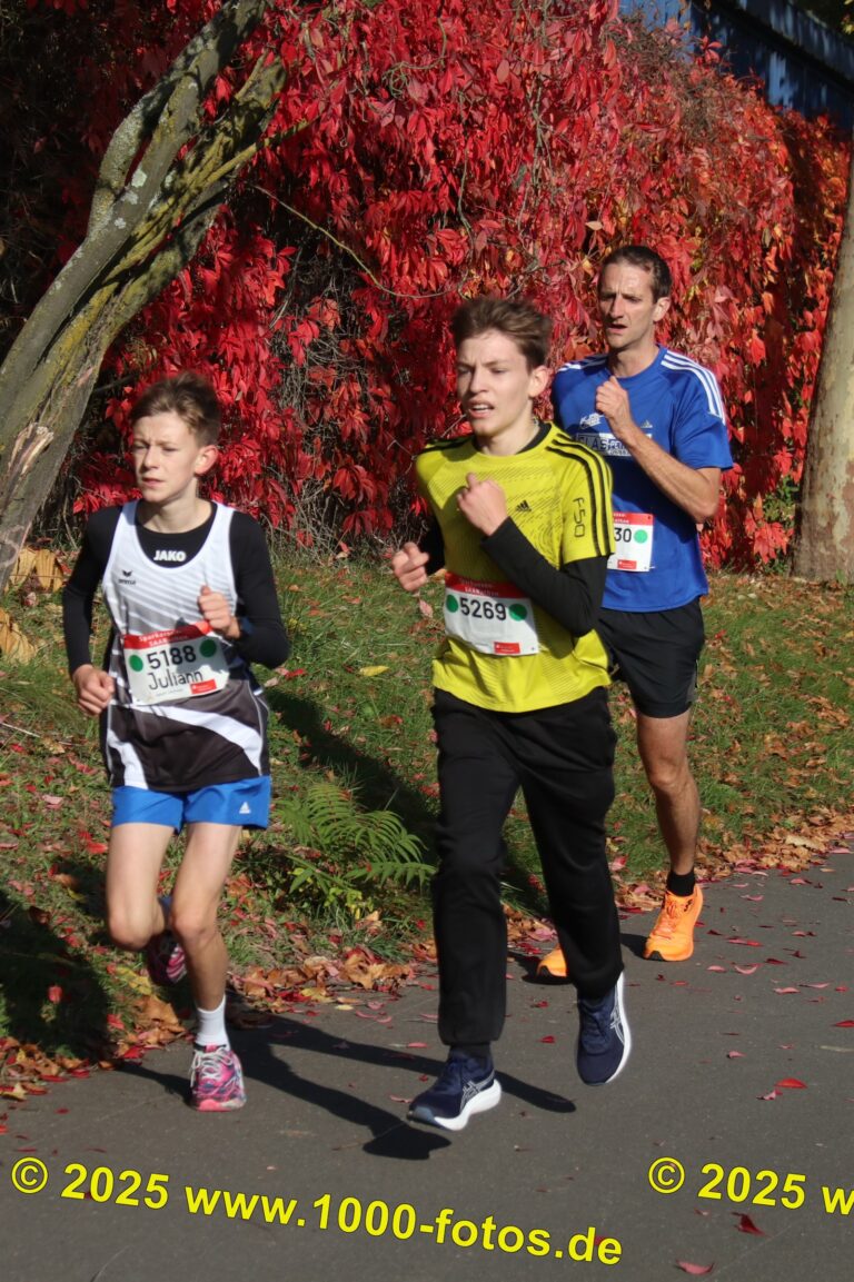 Fotos Hans-Martin Schweitzer (1.000 Fotos) 1999