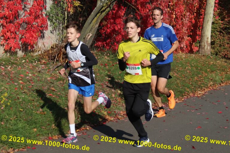 Fotos Hans-Martin Schweitzer (1.000 Fotos) 1998