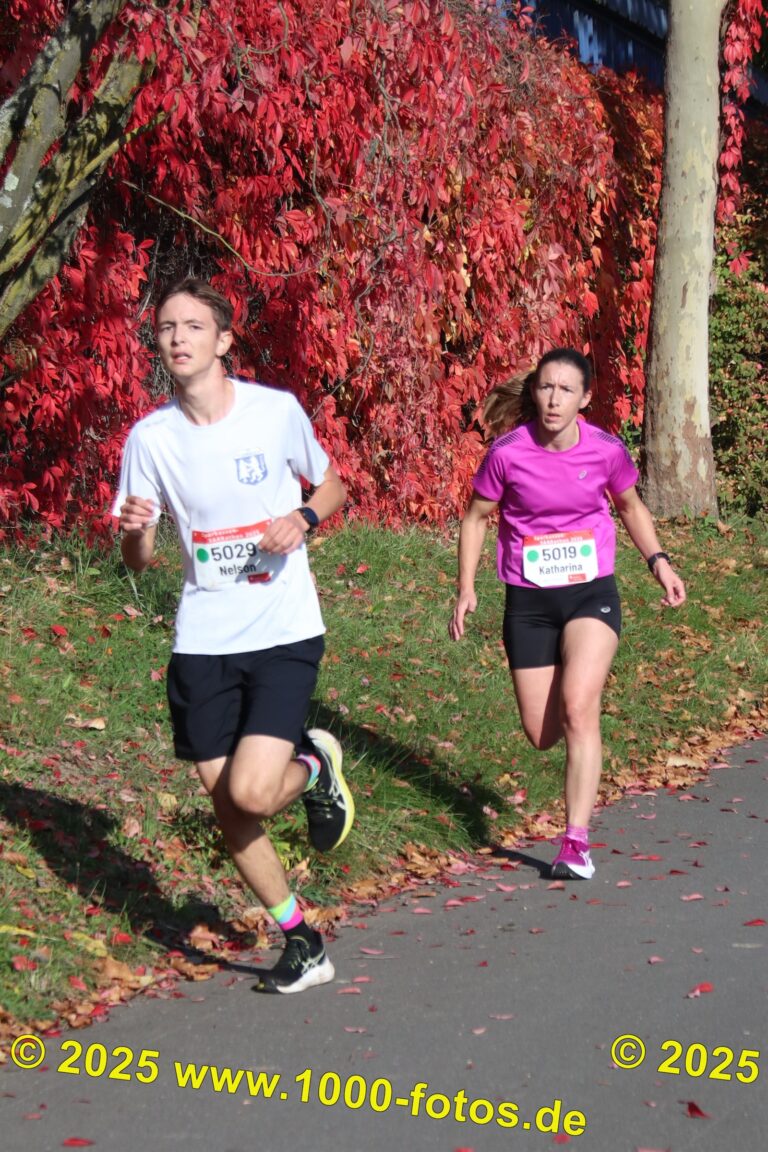 Fotos Hans-Martin Schweitzer (1.000 Fotos) 1994