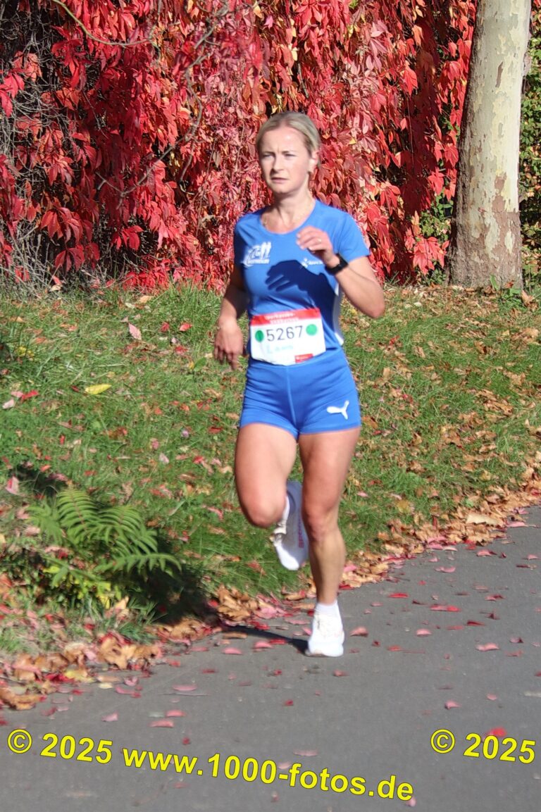 Fotos Hans-Martin Schweitzer (1.000 Fotos) 1993