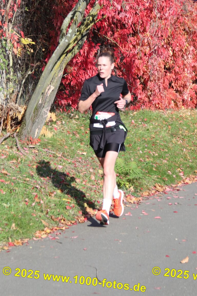 Fotos Hans-Martin Schweitzer (1.000 Fotos) 1973