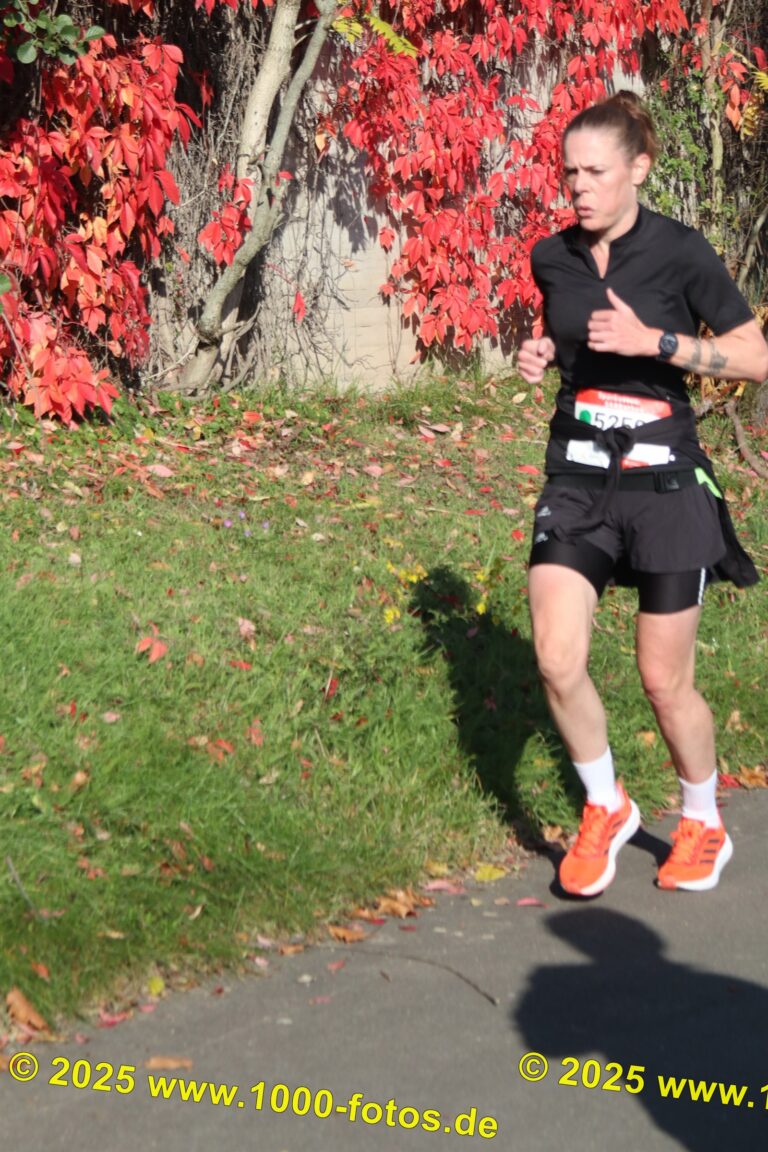 Fotos Hans-Martin Schweitzer (1.000 Fotos) 1972