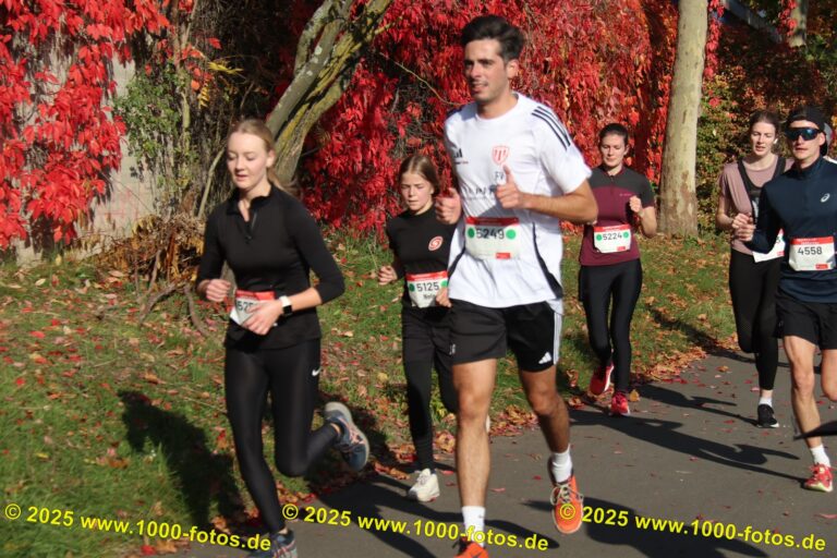 Fotos Hans-Martin Schweitzer (1.000 Fotos) 1952