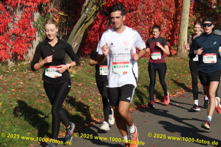 Fotos Hans-Martin Schweitzer (1.000 Fotos) 1951