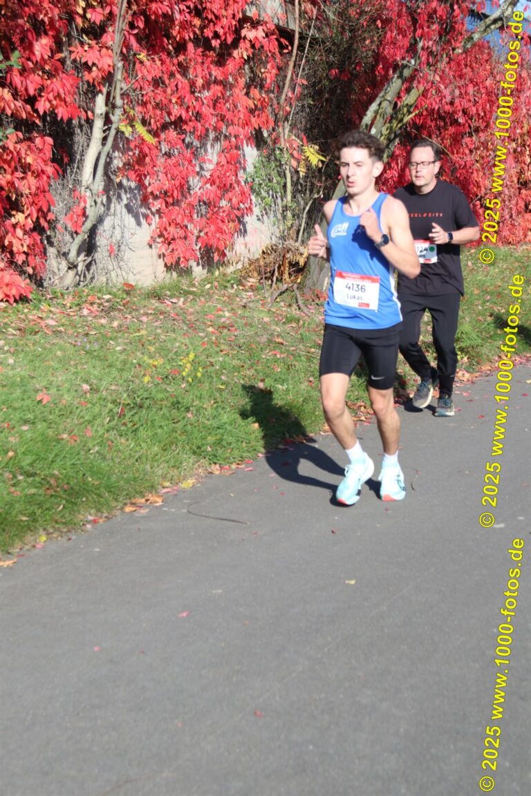 Fotos Hans-Martin Schweitzer (1.000 Fotos) 1948