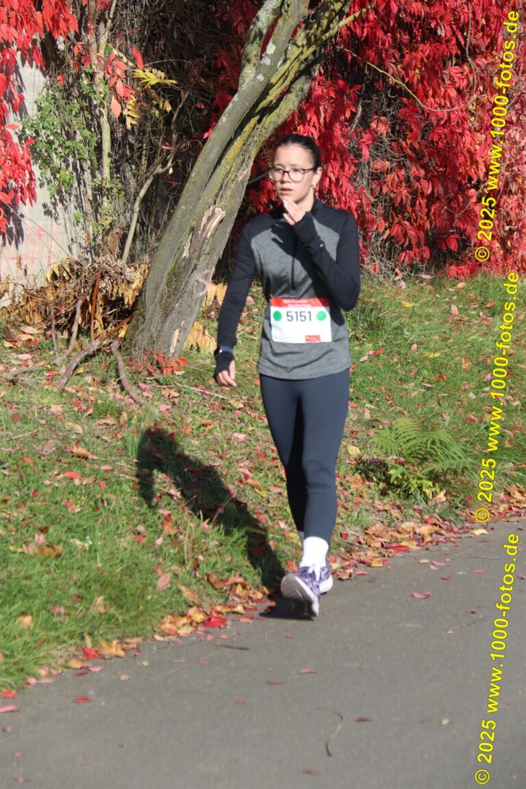 Fotos Hans-Martin Schweitzer (1.000 Fotos) 1943