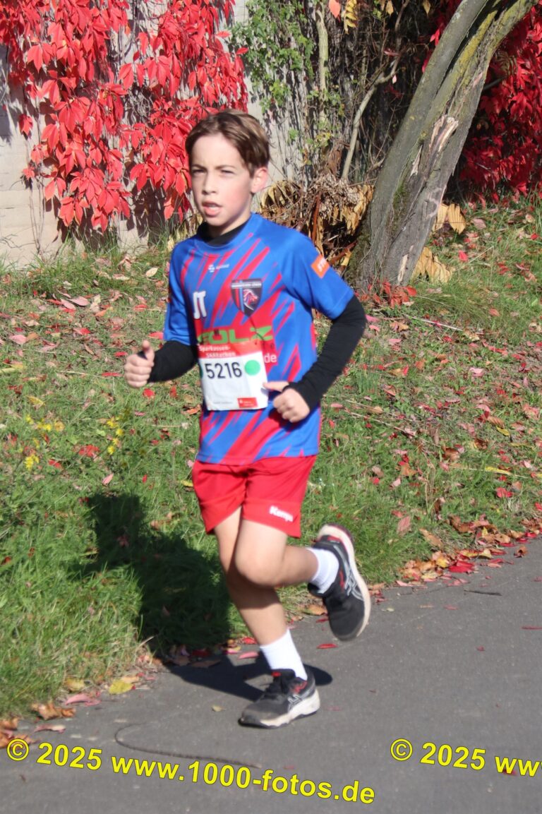 Fotos Hans-Martin Schweitzer (1.000 Fotos) 1935