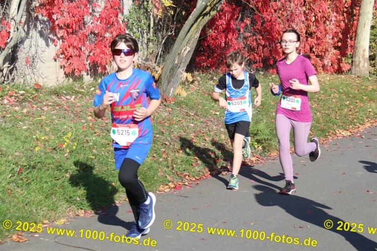 Fotos Hans-Martin Schweitzer (1.000 Fotos) 1932